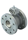 Series 19 Control Segmented Ball Valve