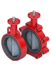 Resilient Seated Butterfly Valve Series 30-31 Thumbnail