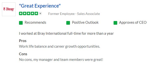 A review of working at Bray International on Glassdoor.com that says "Great experience"