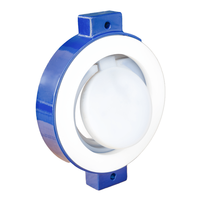 PFA Lined Swing Check Valve (SCV)
