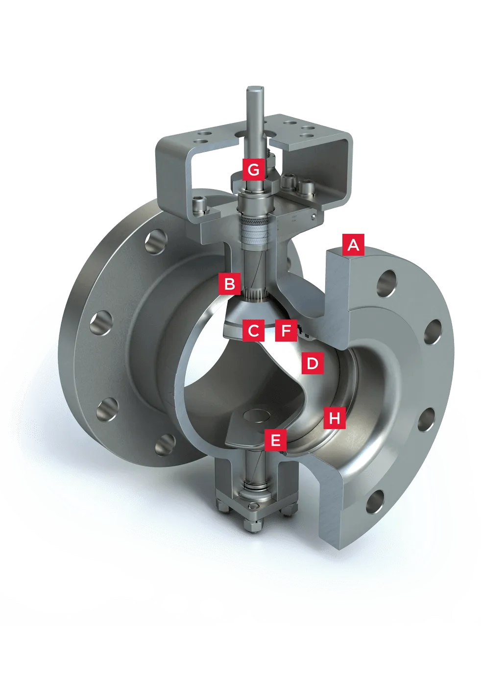 S19-cutaway-min-2