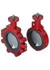 https://www.bray.com/images/default-source/products/resilientseatedvalves/s20-21/s20-21_01thumbnail.png?sfvrsn=8eeb4726_6